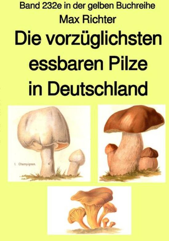 gelbe Buchreihe / Die vorzüglichsten essbaren Pilze in Deutschland – Band 232e in der gelben Buchreihe – bei Jürgen Ruszkowski
