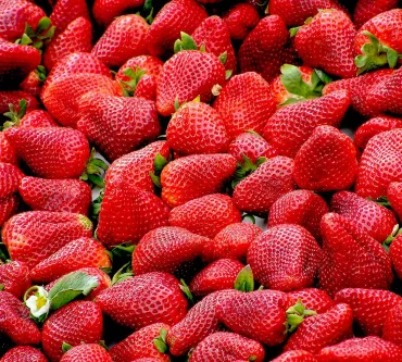 Diese Erdbeersorten schmecken am besten