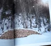Ein Tag in den Bergen Kochbuch Wald