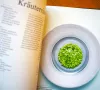 Pure Frische das vegetarische Kochbuch von Sternekoch Andreas Caminada 7