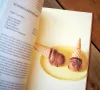 Schoggi das Schokoladen Kochbuch ueber Schweizer Schokolade 2