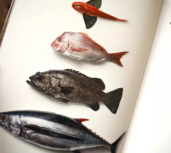 Das Kochbuch Man nehme einen Fisch von Josh Niland 6