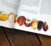 Das Kochbuch Mensch und Mais von Nora Aschacher 4