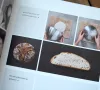 Das Buch die Die neue Brotbackformel von Lutz Geißler 9